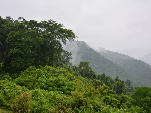 Hiking Doi Chiang Dao in Northern Thailand