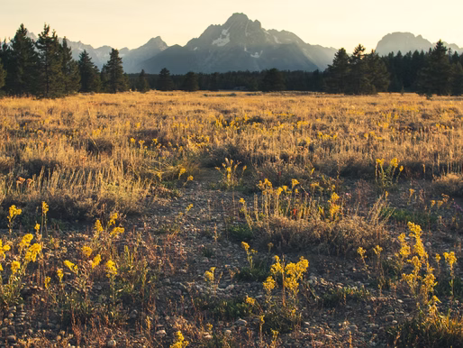 7 Adventurous Wyoming Sites You Need to Explore