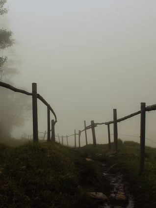 The Top 11 Apps for Adventure Travelers