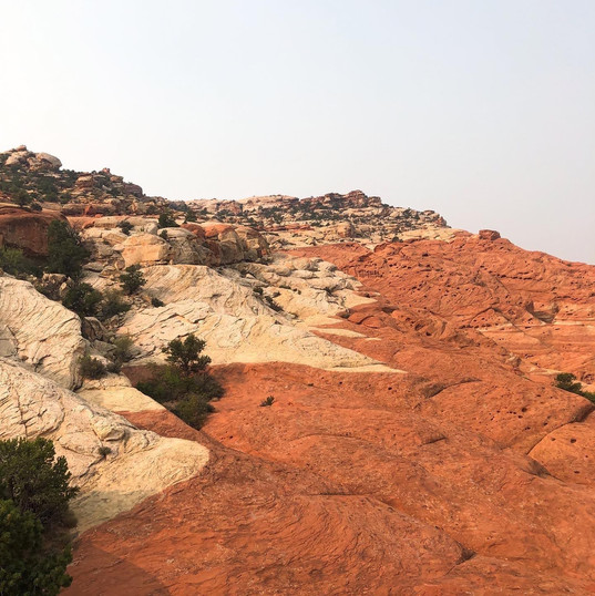 Contrasting Colors in Capitol Reef