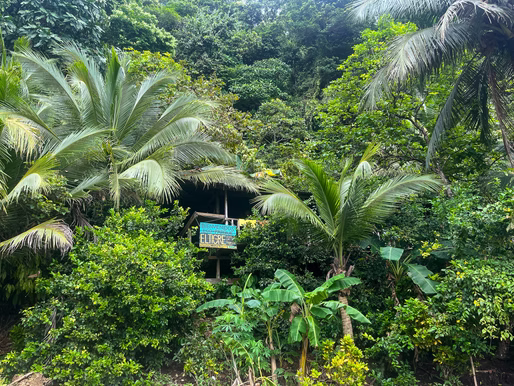Your Guide to Hiking El Tigre Waterfall: A True Jungle Adventure in Choco, Colombia