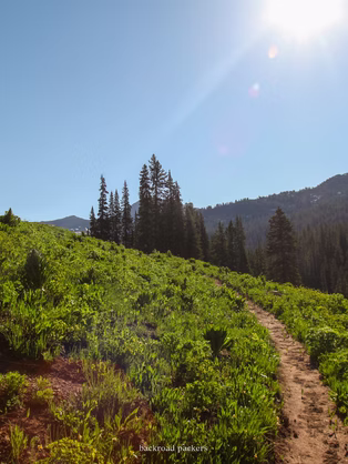 My Complete Trail Running Gear Guide